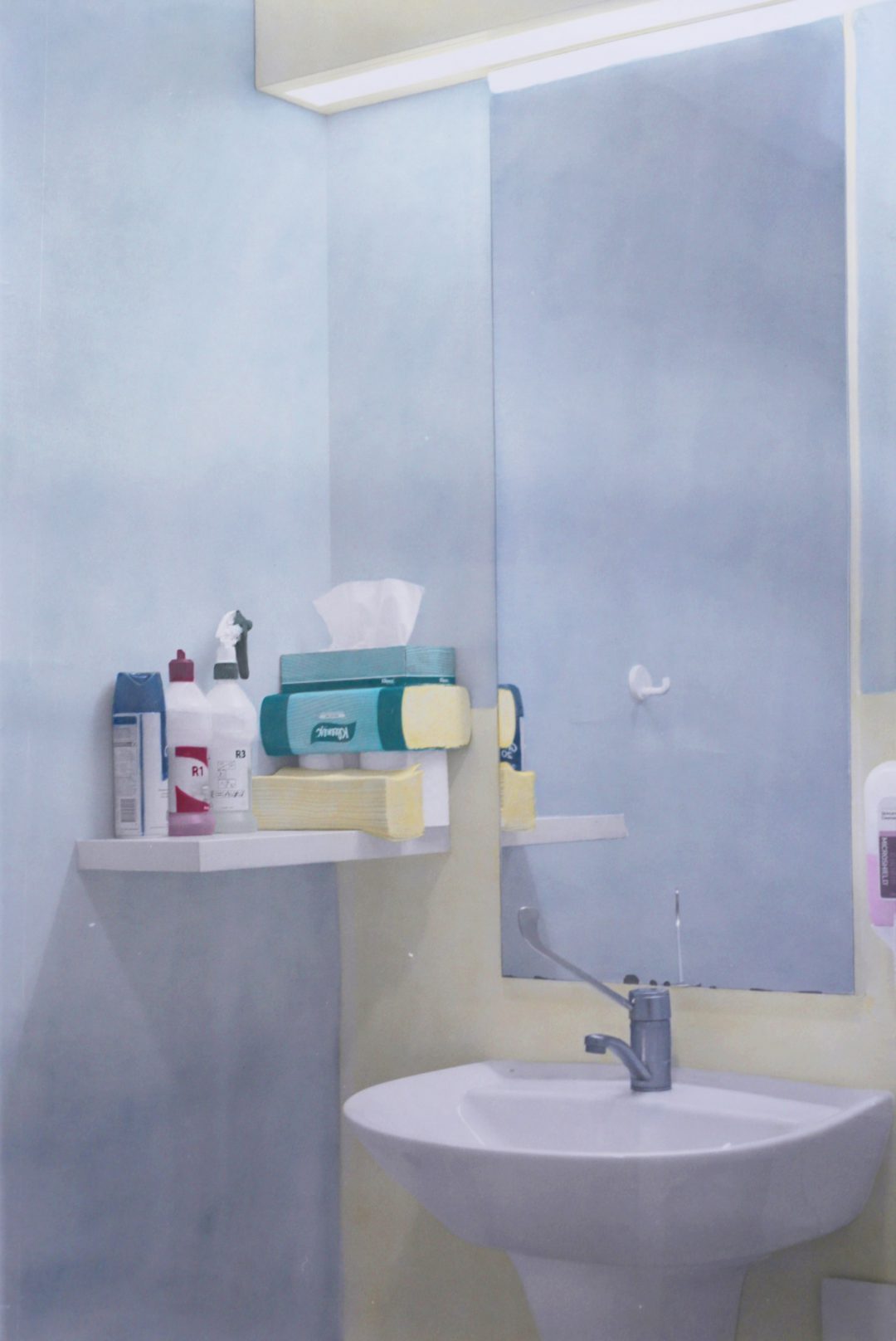 Georgie Mattingley, Toilet still life 2017
oil on silver gelatin print, DiBond
120 x 90 cm
Winner of the 2018 Local Art Prize
