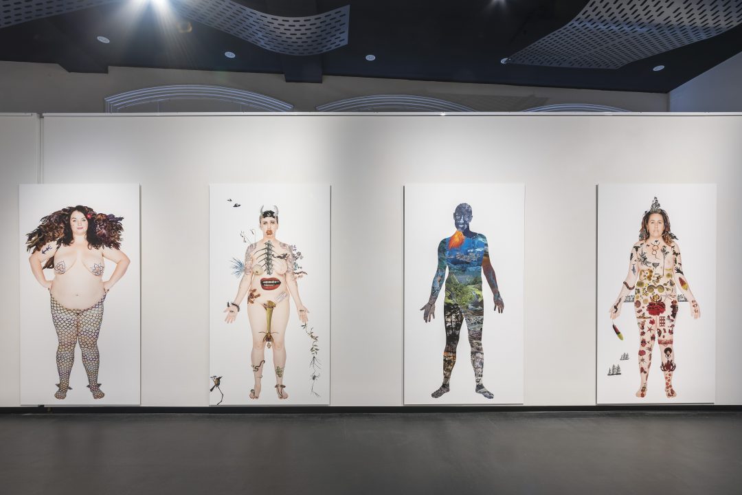 Installation view, Deborah Kelly: No human being is illegal (in all our glory), 2018
