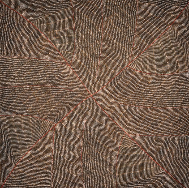 Margaret Loy Pula, Anatye (Bush Potato) 2014
acrylic on linen
151 x 152 cm
